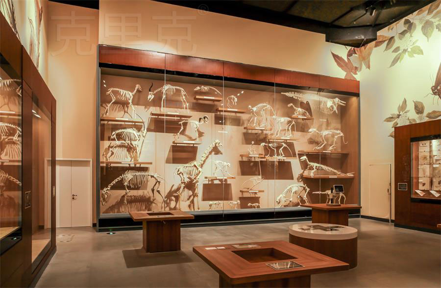 博物館高展柜尺寸設計標準