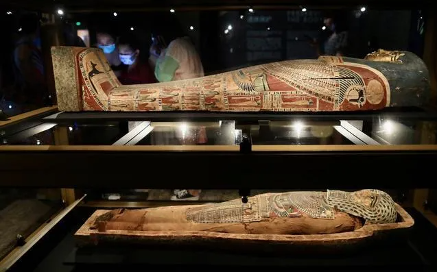 1635148080808308.png 9.png